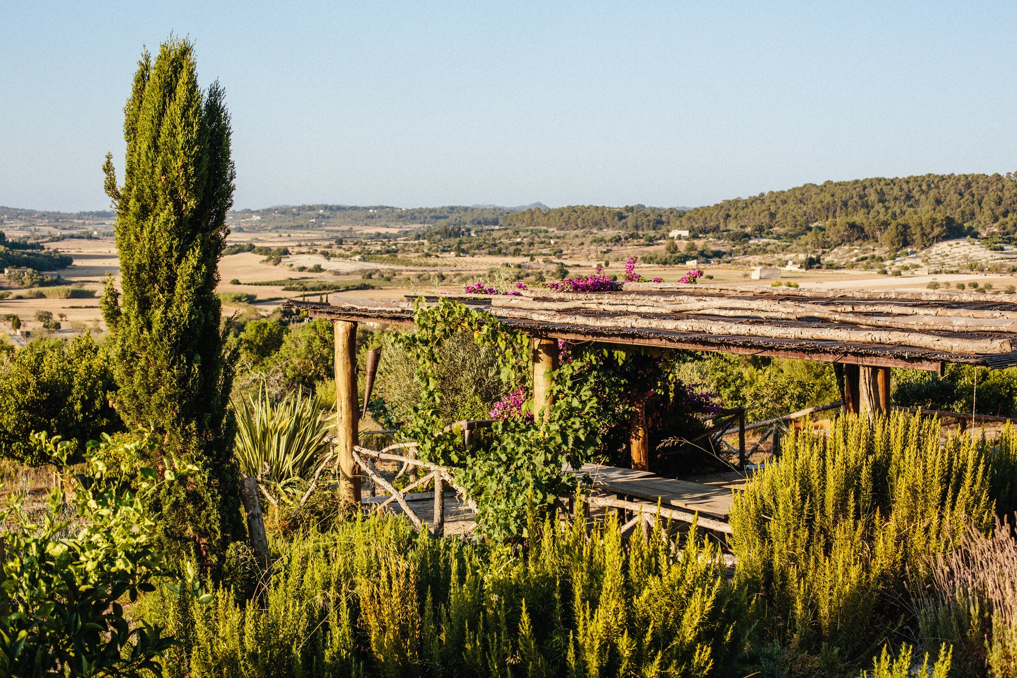 Mallorca Amorosa