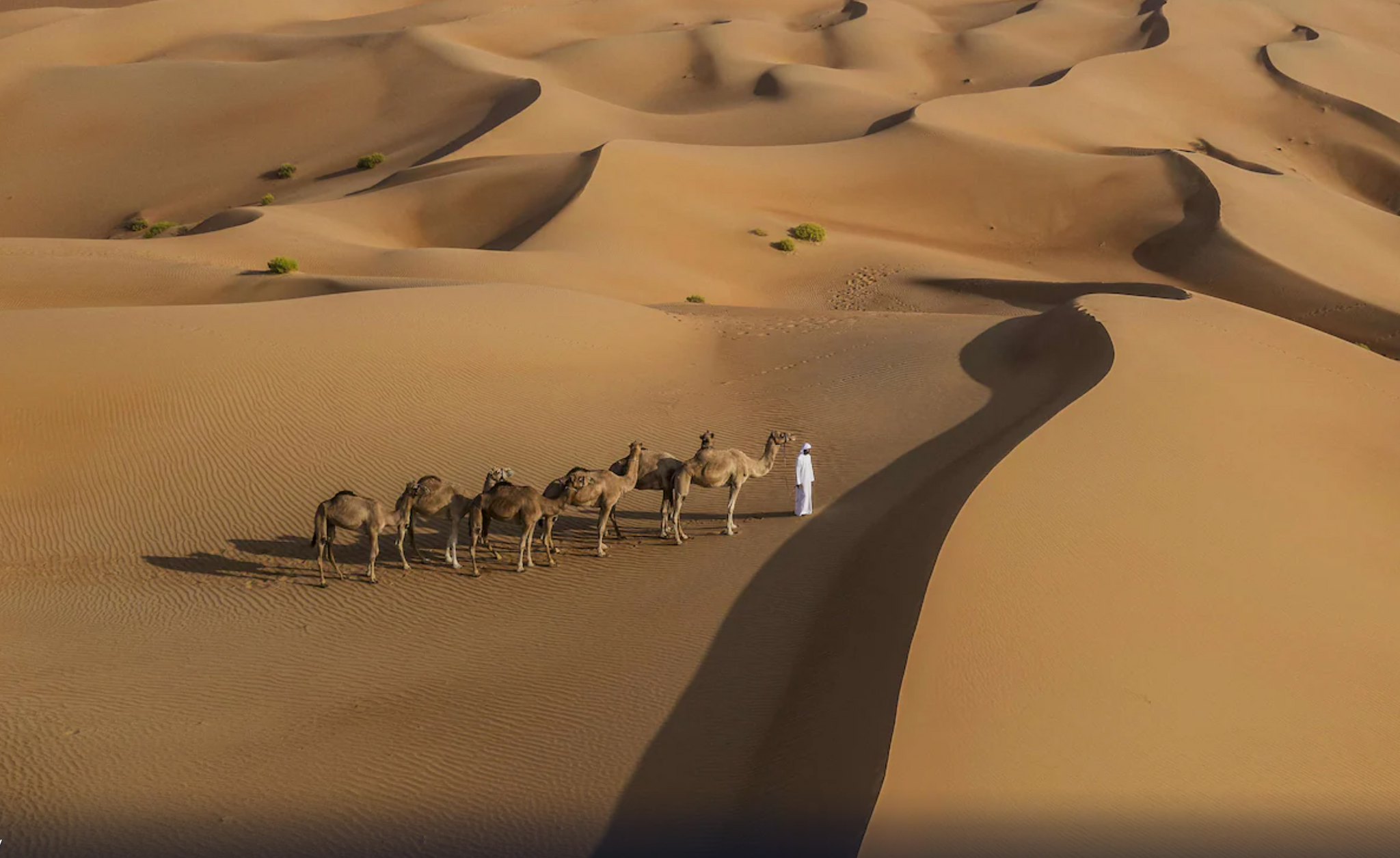 UAE Global Nomad Yoga Retreat