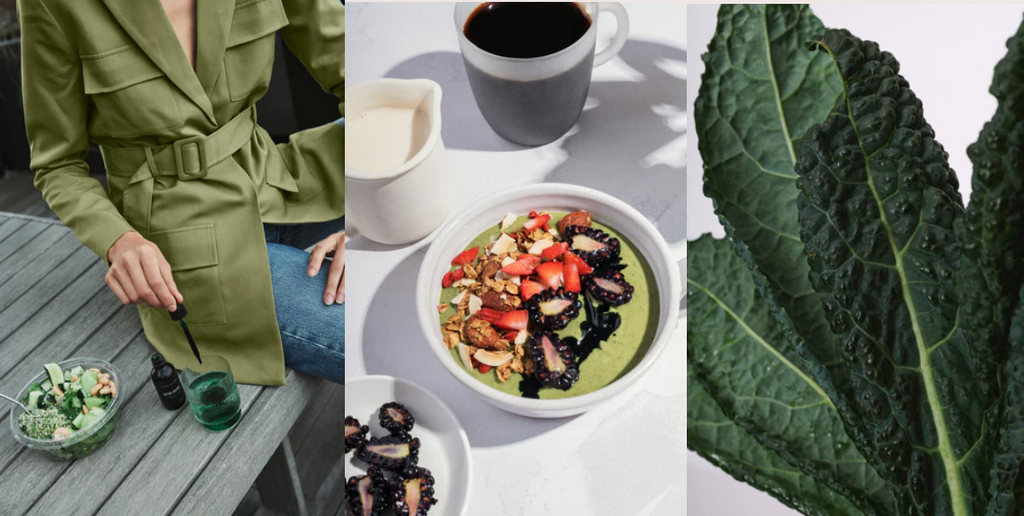 Plant Based for Autoimmune Diseases