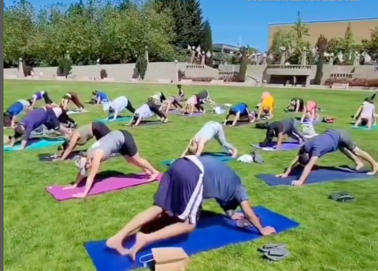$5 Yoga In the Park 2023 (Bellevue)