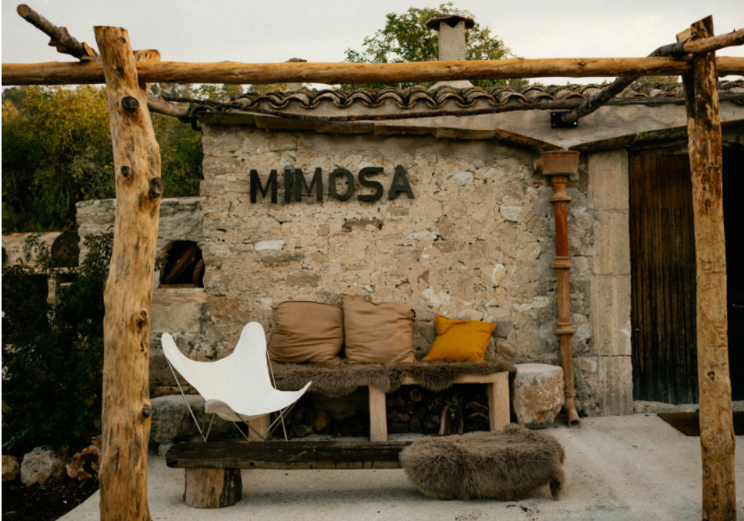 Mallorca Mimosa