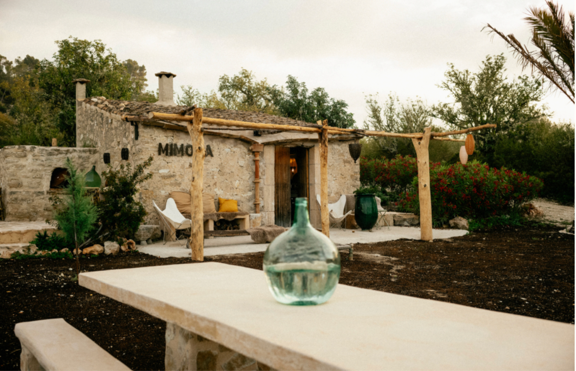 Mallorca Mimosa